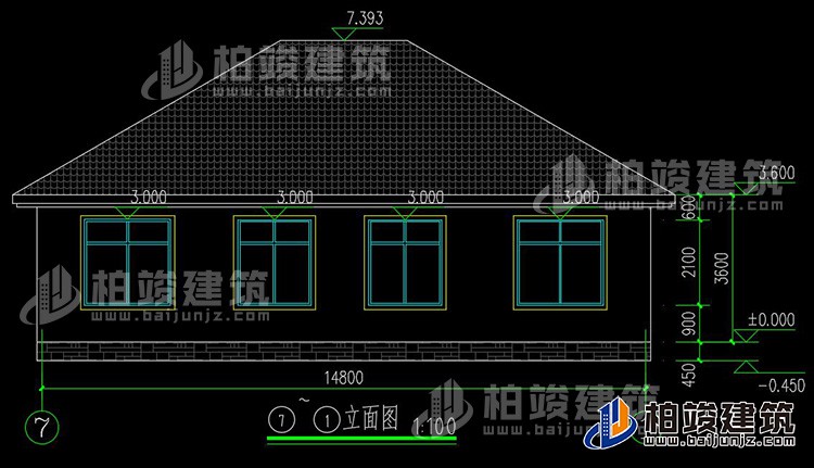 背立麵圖