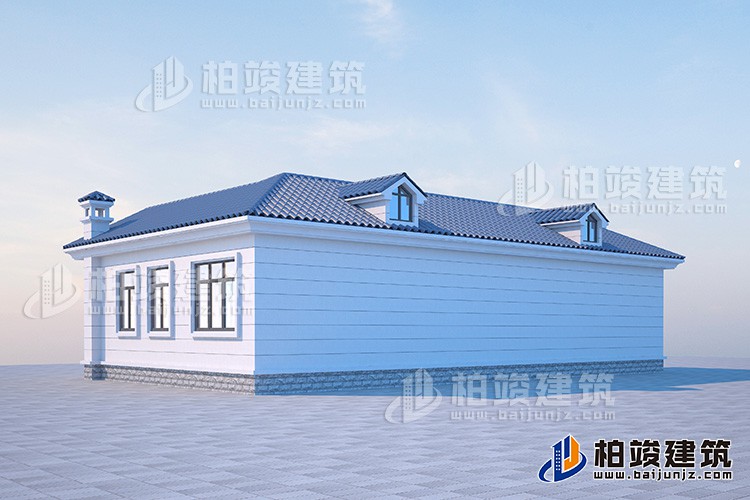 背麵效果圖