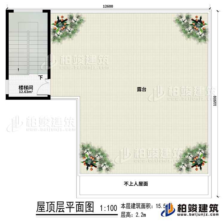 房頂：樓梯間、露台