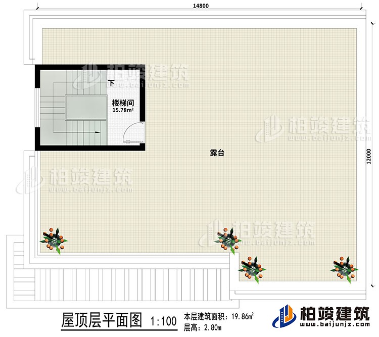屋頂：樓梯間、露台